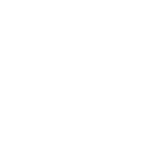 vision